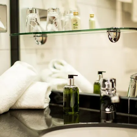 弗雷霍夫酒店 酒店 4*